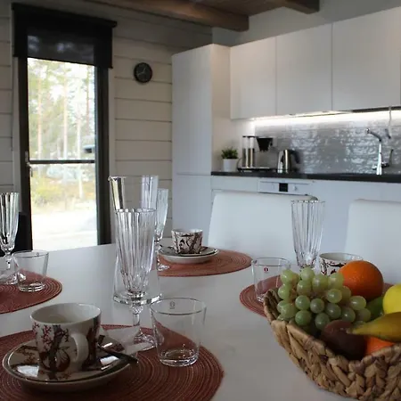 Lejlighedshotel Naava Pyry